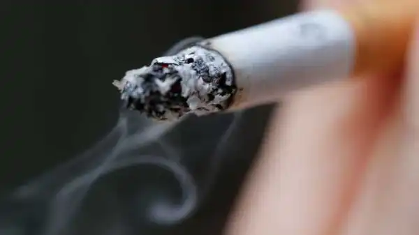Importation, smoking linked to high cancer rate
